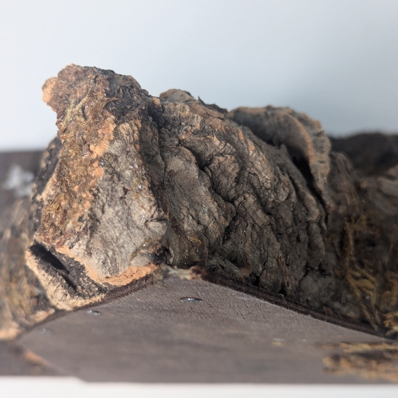 Vintage Italian Nativity Scene with Holy Family Made in Italy - Picture 13 of 15